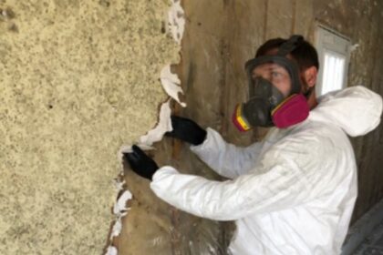 Mold Removal