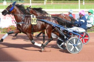 programme pmu' de demain lonab