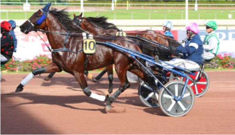programme pmu' de demain lonab