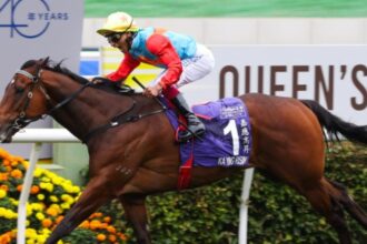 champion des courses