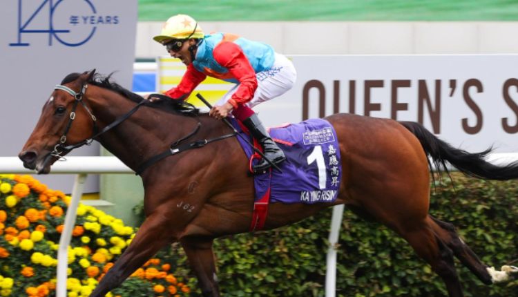champion des courses