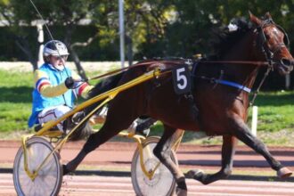 Pion Sur PMU