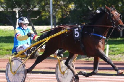 Pion Sur PMU