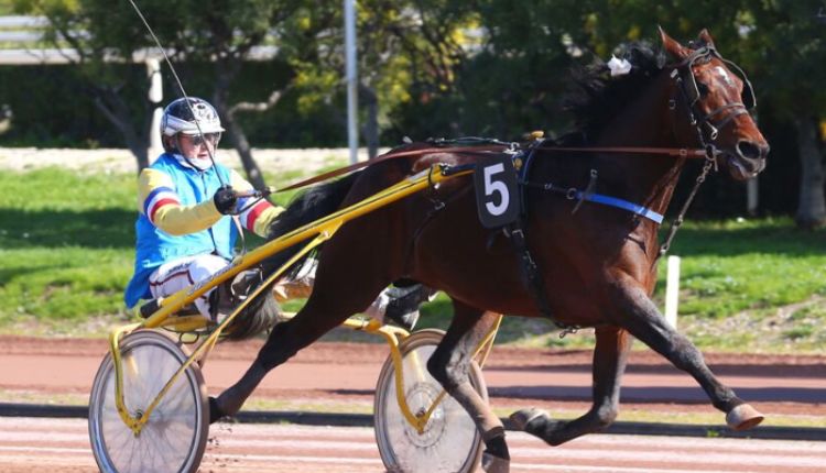 Pion Sur PMU