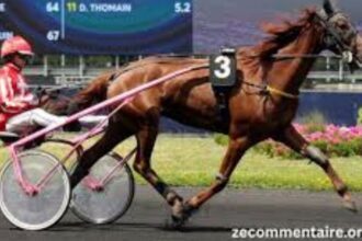 fortune turf vip