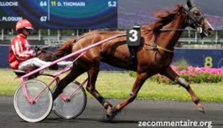 fortune turf vip