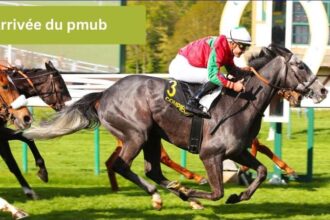 arrivee-du-pmub