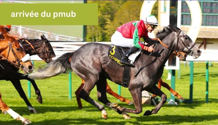 arrivee-du-pmub