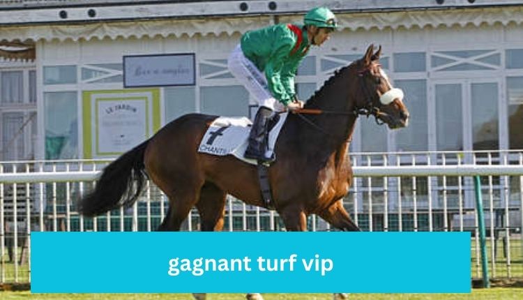 gagnant turf vip