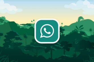 gb whatsapp pro