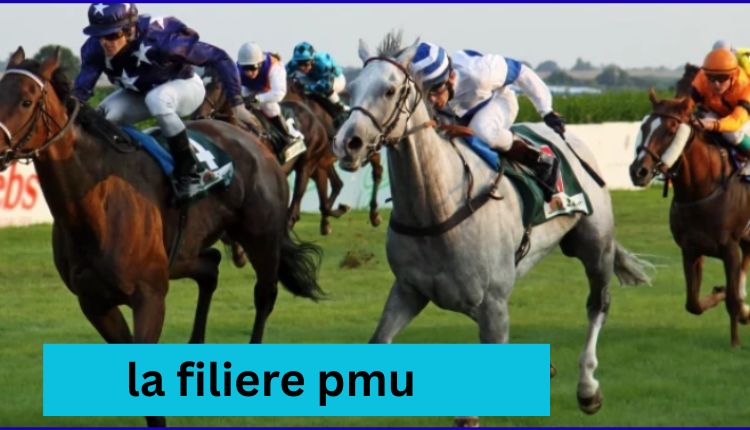 la filiere pmu