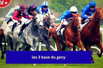 les 3 base du geny