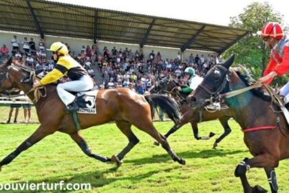 lingodor turf 2019