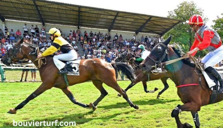 lingodor turf 2019