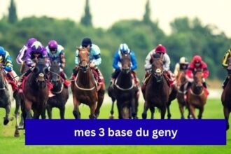 mes-3-base-du-geny