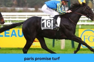 paris-promise-turf