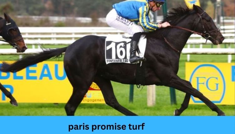 paris-promise-turf
