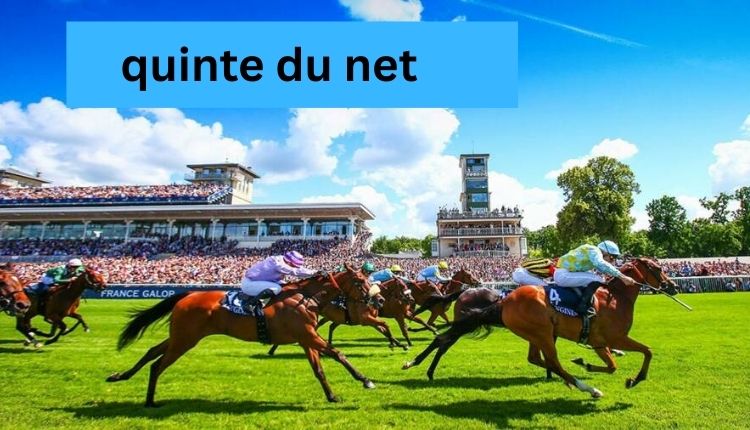 quinte du net