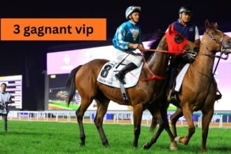 3 gagnant vip
