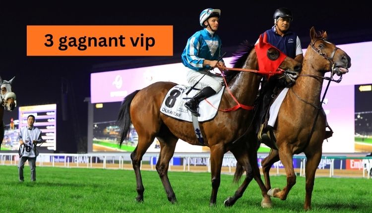 3 gagnant vip