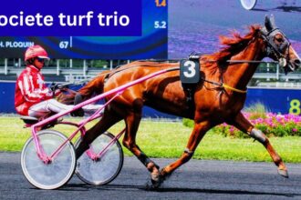 Societe Turf Trio