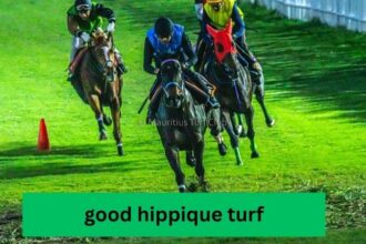 good hippique turf