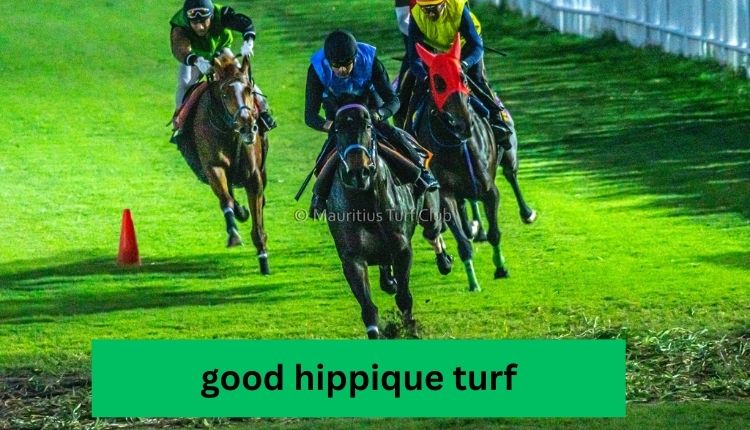 good hippique turf