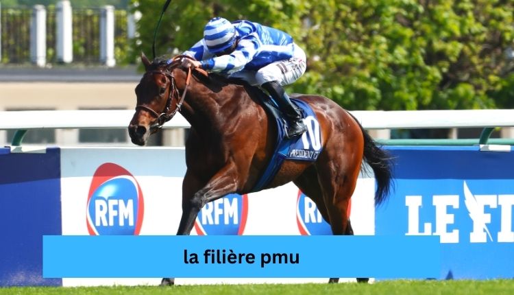 la filière pmu