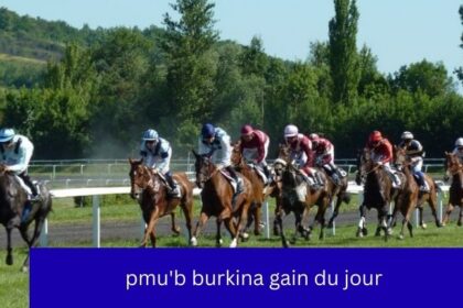 pmub-burkina-gain-du-jour