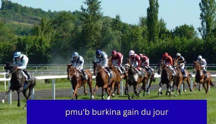 pmub-burkina-gain-du-jour
