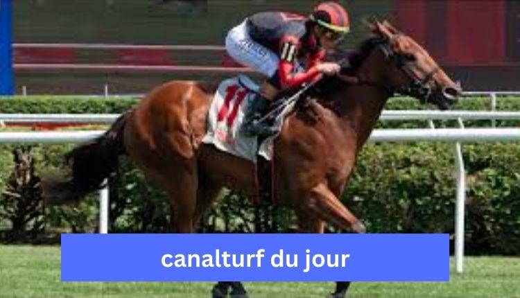 turf-magique-3-bases
