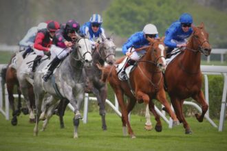 super-gagnant-turf