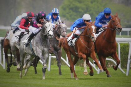 super-gagnant-turf