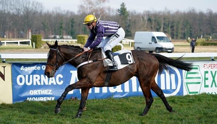 equidia-turf-pronostic