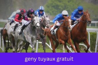 geny tuyaux gratuit