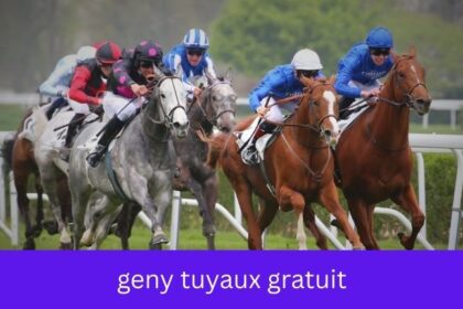 geny tuyaux gratuit