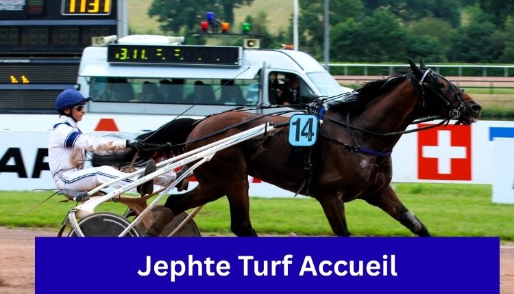 prono logique turf