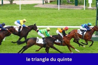 le triangle du quinte