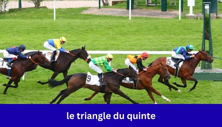 le triangle du quinte