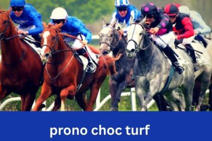 programme pmub du jour