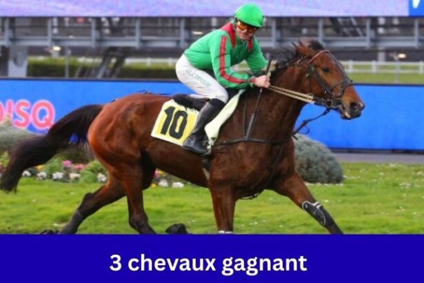 3 Chevaux Gagnant