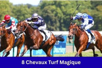 8 Chevaux Turf Magique