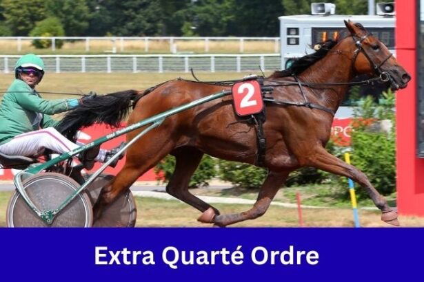 Extra Quarté Ordre
