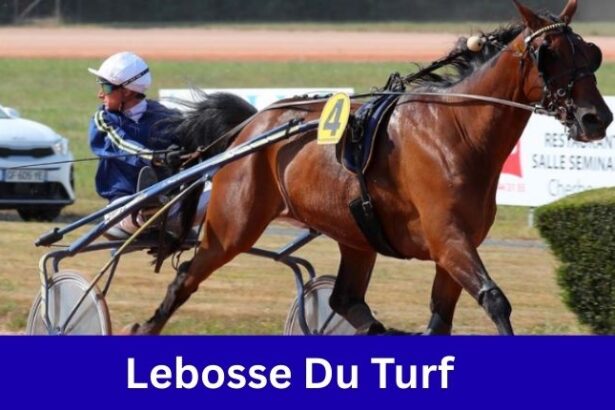 Lebosse Du Turf