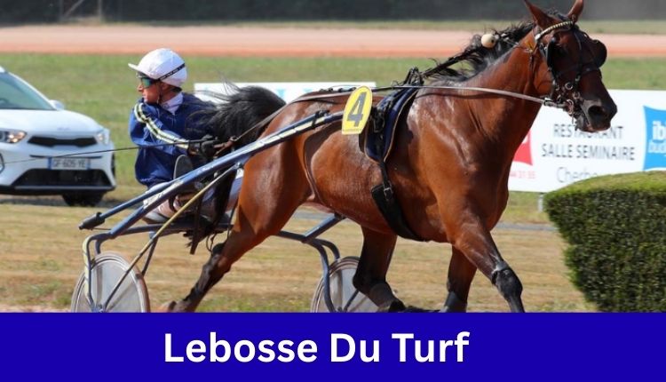 Lebosse Du Turf